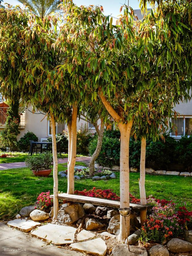 Shaar Hagolan Kibbutz Country Lodging Exteriér fotografie