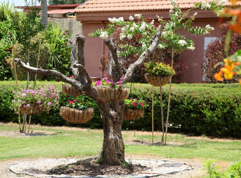 Shaar Hagolan Kibbutz Country Lodging Exteriér fotografie
